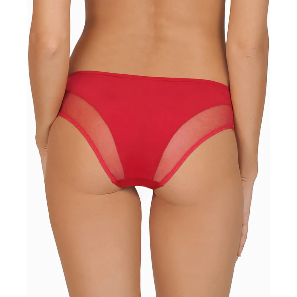 Breve Reina Rosa