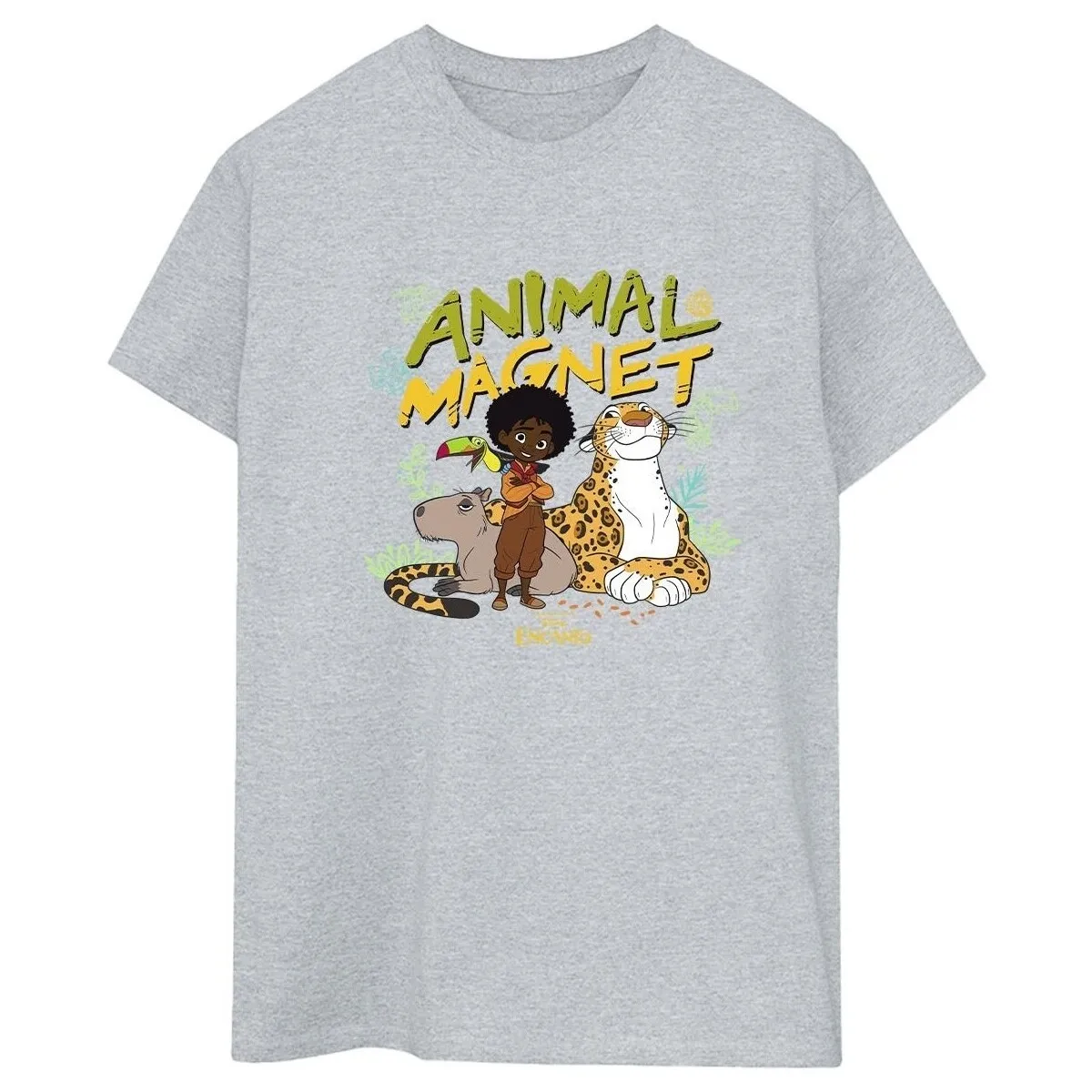 Encanto Animal Magnet