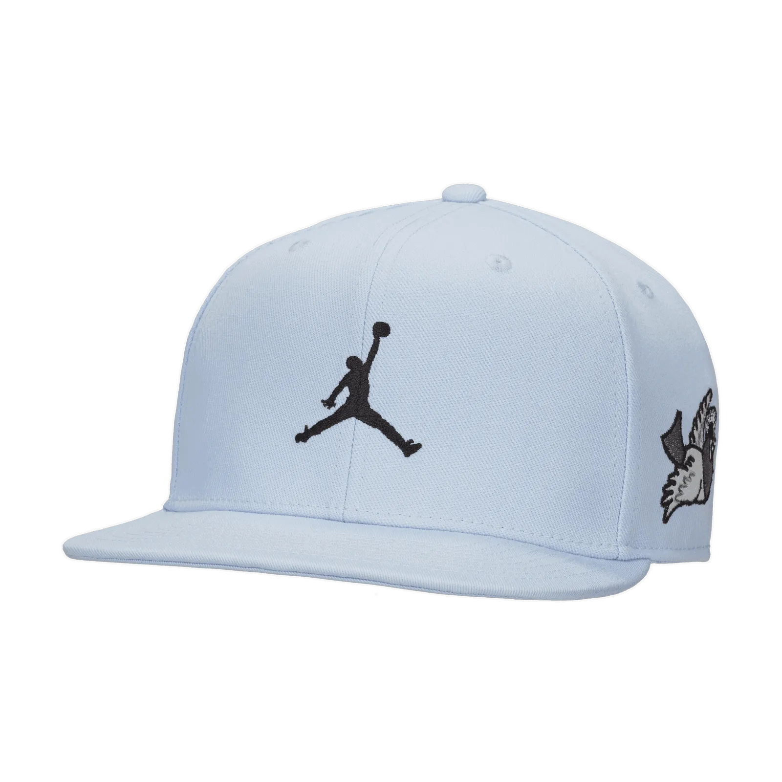 Jordan Pro Cap