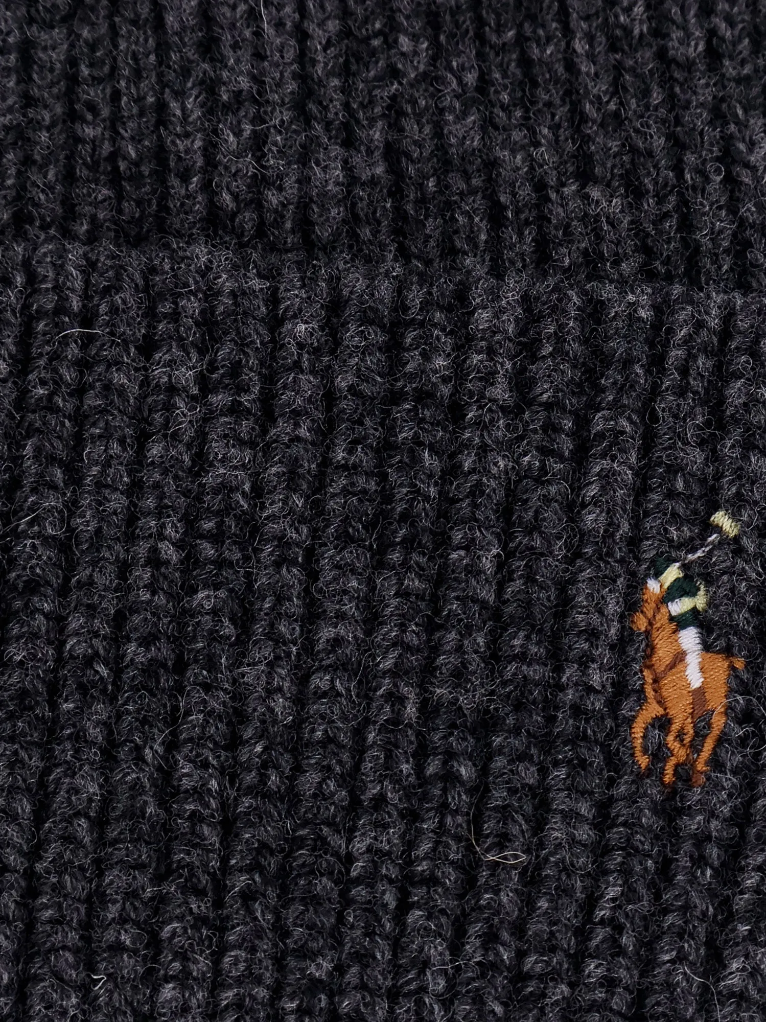 Polo by Ralph Lauren Beanie