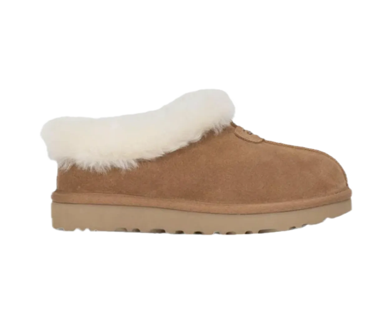 Tazzette Slipper Chesnut
