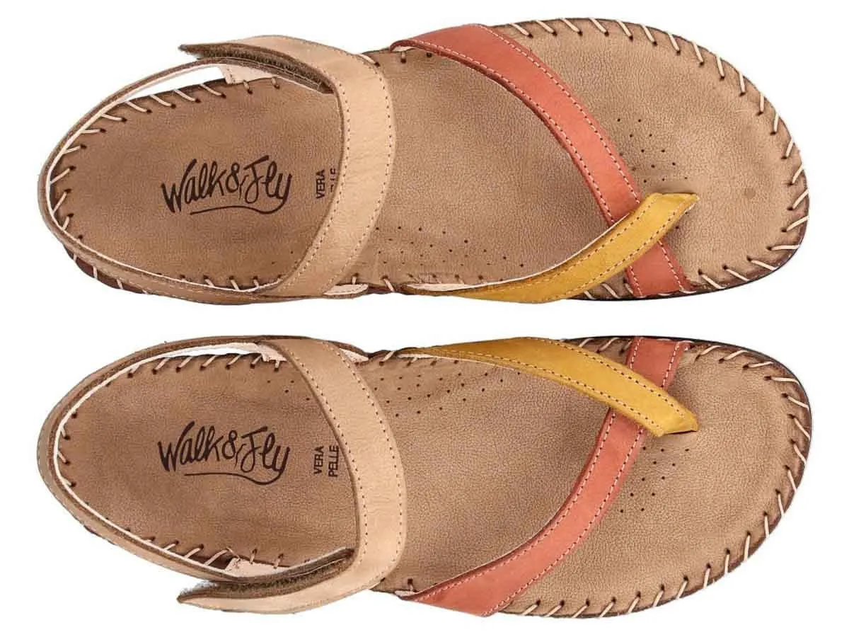 WALK & FLY 386147850