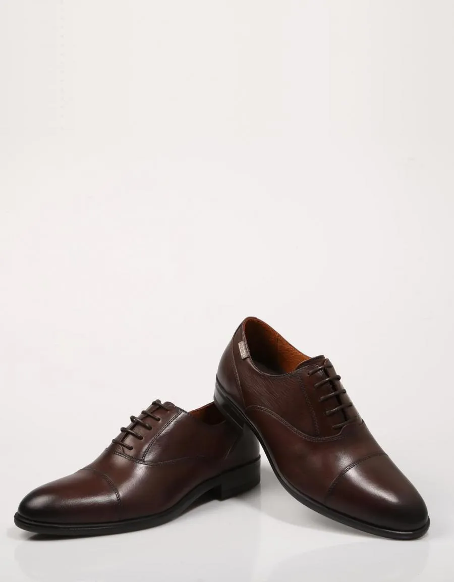  zapatos vestir PIKOLINOS Bristol M7j 4184 en Marron 71259